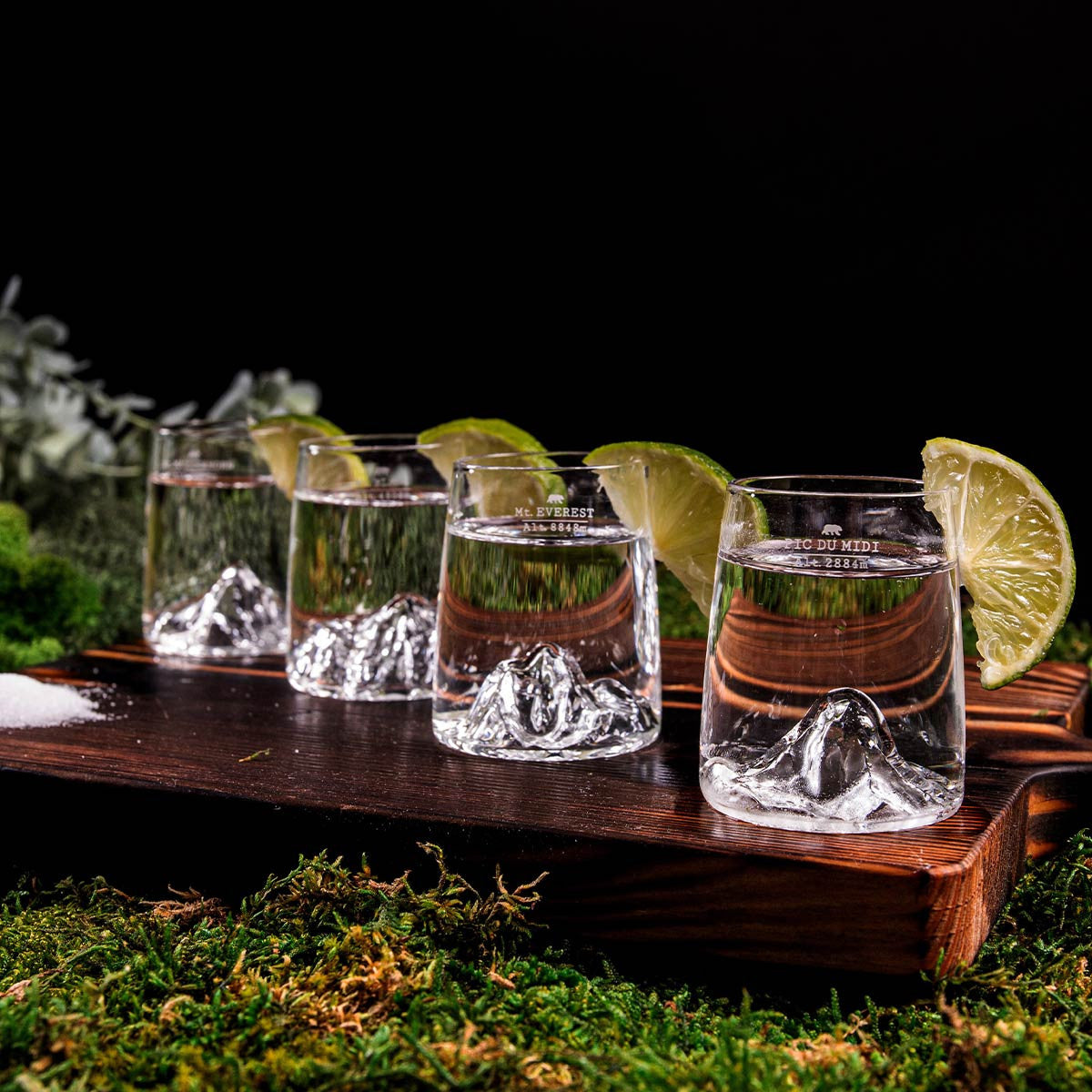 4 Shooters Topographic